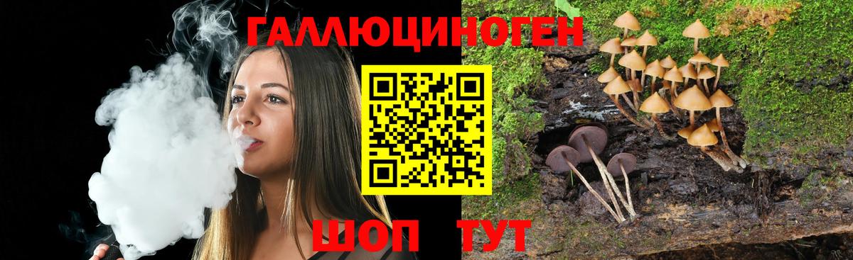 Псилоцибиновые грибы Cubensis  купить закладку  Сальск  Галлюциногенные грибы мухоморы  Вход с VPN 