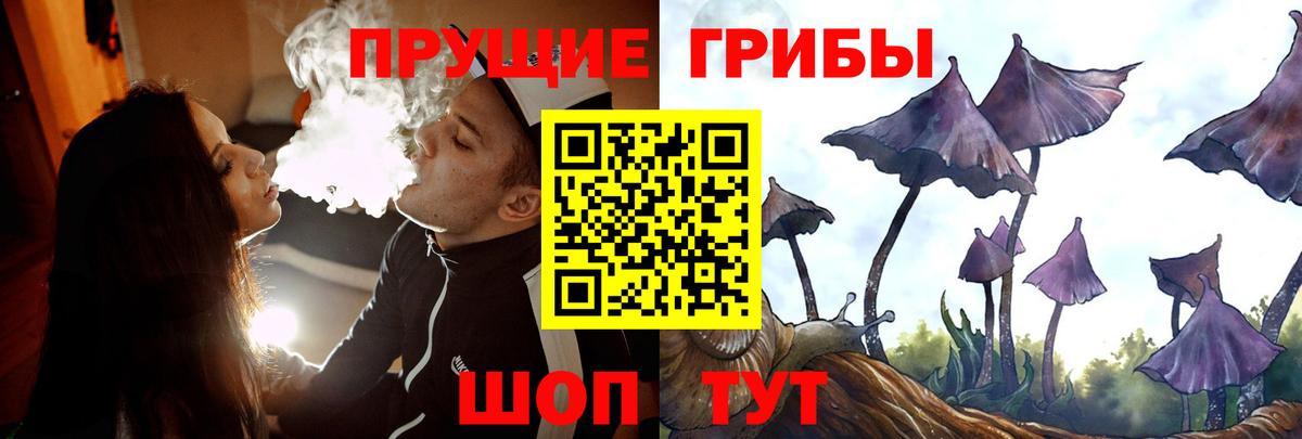 Псилоцибиновые грибы Magic Shrooms Сальск